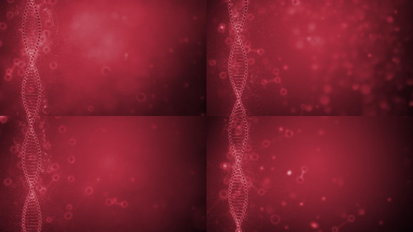 红色背景上的DNA串