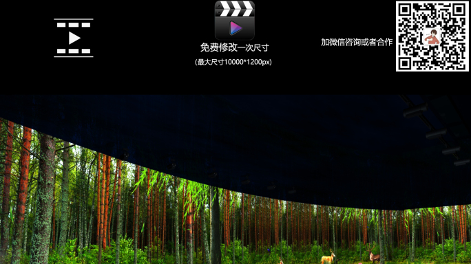 8K梦幻森林全息投影视频素材