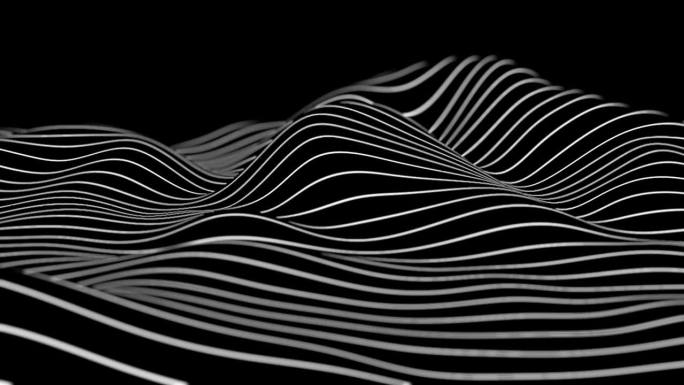 抽象黑白线条动画