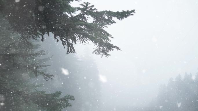 冬季新年树背景冬至立冬大雪封山