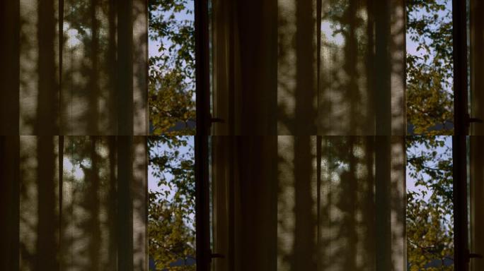 树木在房间的窗帘上投下阴影。