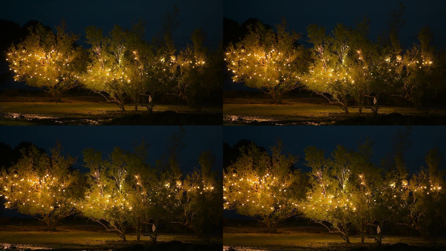 树上的户外派对灯家居路灯照明