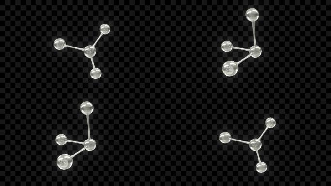 水分子1-alpha+循环