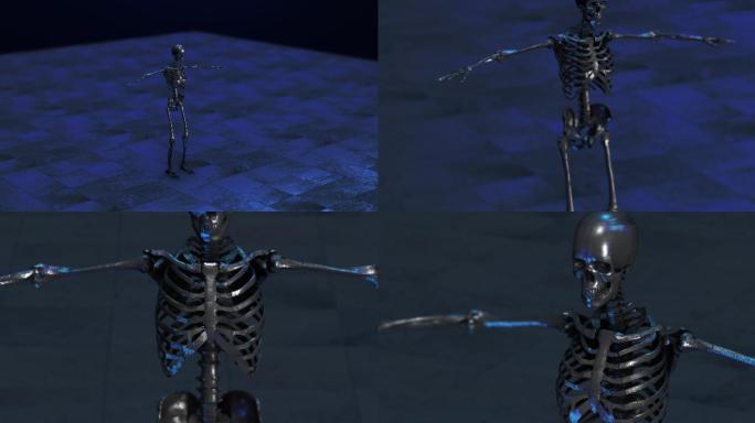 数字骷髅人三维医学器官3D人体
