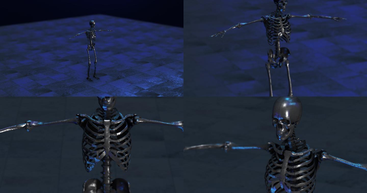数字骷髅人三维医学器官3D人体