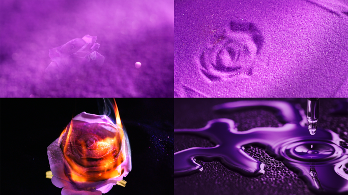 紫色玫瑰意向精华液素材