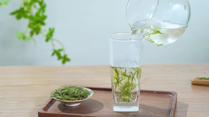 清新春茶新茶安吉白茶泡茶展示