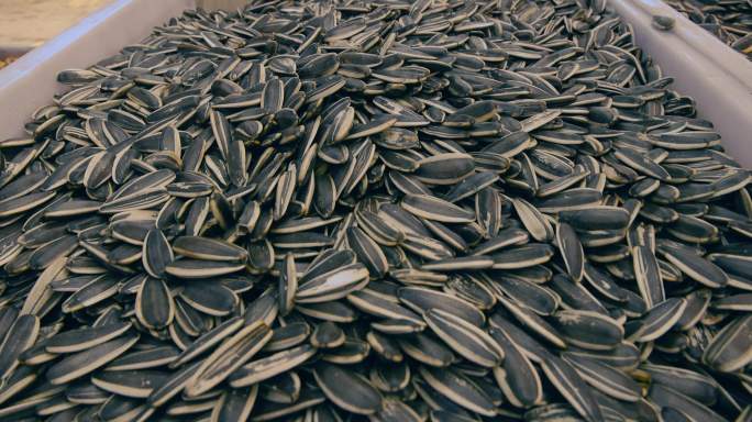 商品 食物 市场 生活 购物 瓜子