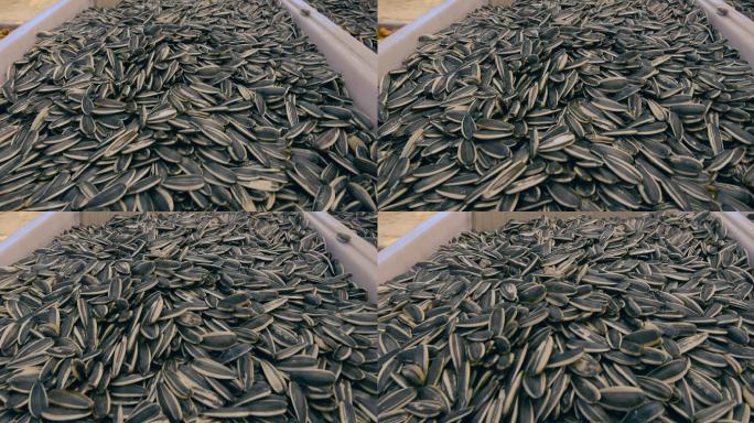 商品 食物 市场 生活 购物 瓜子