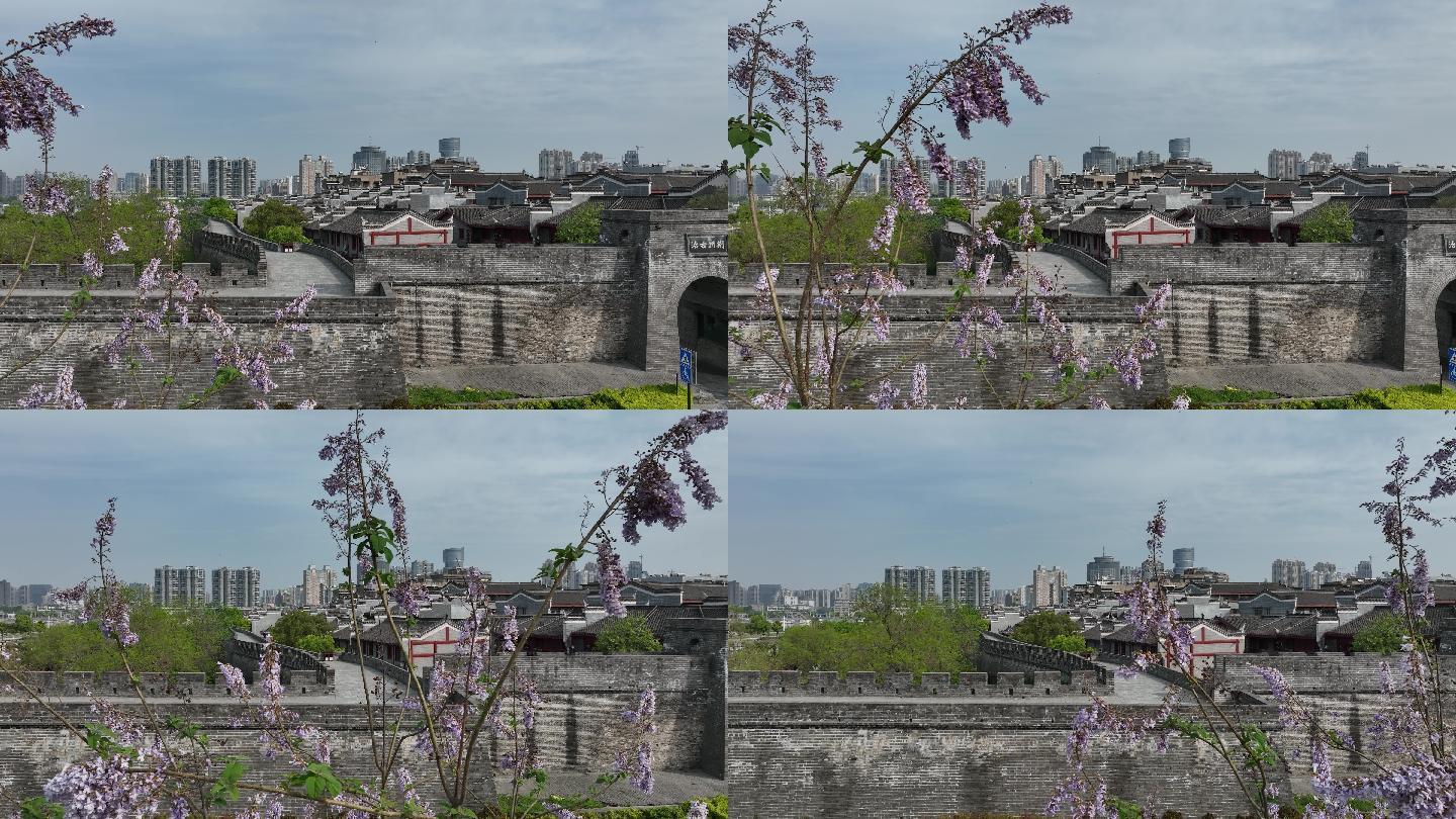 航拍襄阳春天泡桐树开花城市自然风光