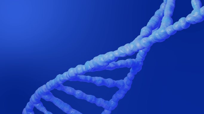 DNA动画基因组编码研究编码染色体人类细