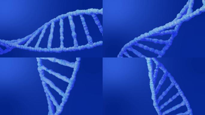 DNA动画基因组编码研究编码染色体人类细