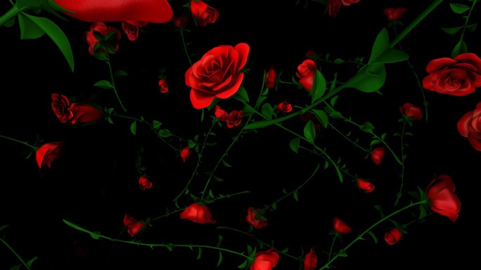 玫瑰花背景浪漫红玫瑰洒落掉落