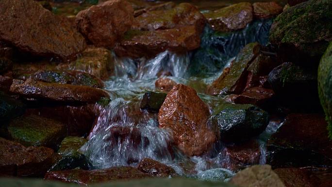 森林里石头上的小溪泉水特写