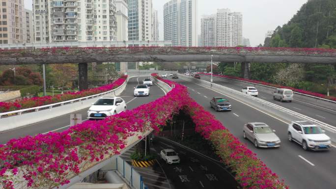 4K原素材-航拍厦门城市道路交通