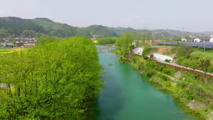 4K航拍汉中勉县龙湾油菜花海