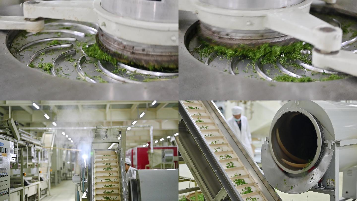汉中绿茶制作流程