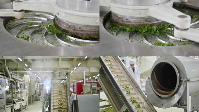 汉中绿茶制作流程