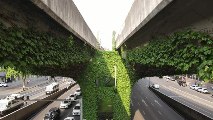 城市高架立体交通绿化绿植爬山虎藤类植物