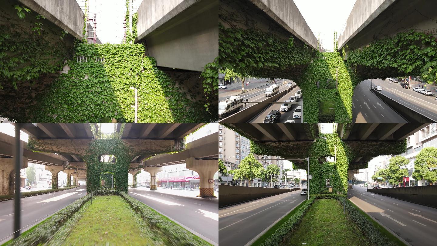 城市高架立体交通绿化绿植爬山虎藤类植物