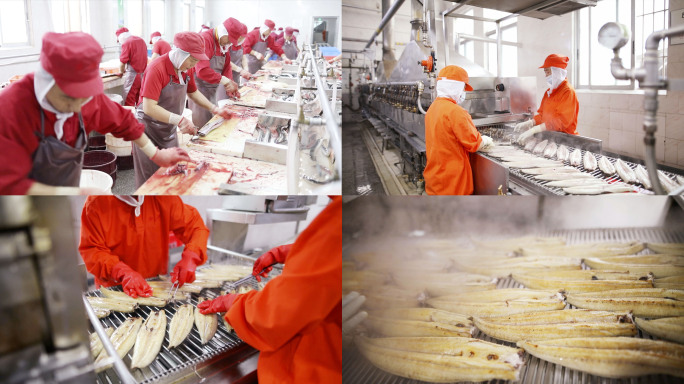 核污水海鲜禁入 淡水养殖烤鳗鱼生产线