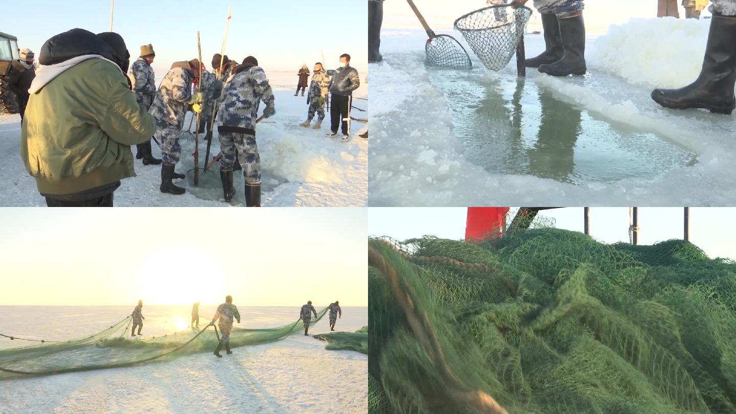 达里湖冬捕队打冰眼下网捕鱼冬捕节华子鱼