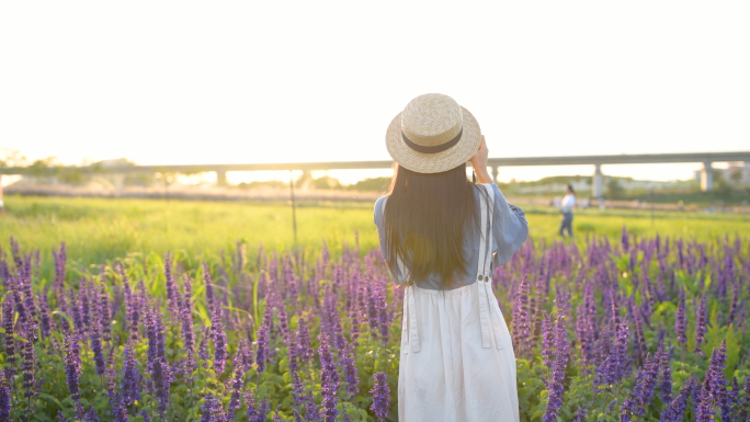 4K春天鼠尾草花丛里的少女