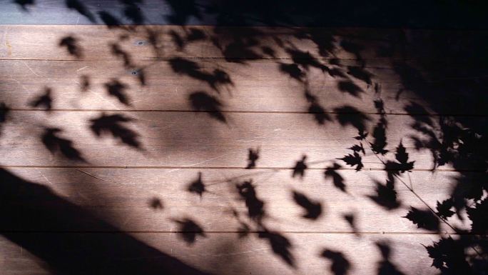 木板上的阳光与树叶的影子慢动作升格拍摄