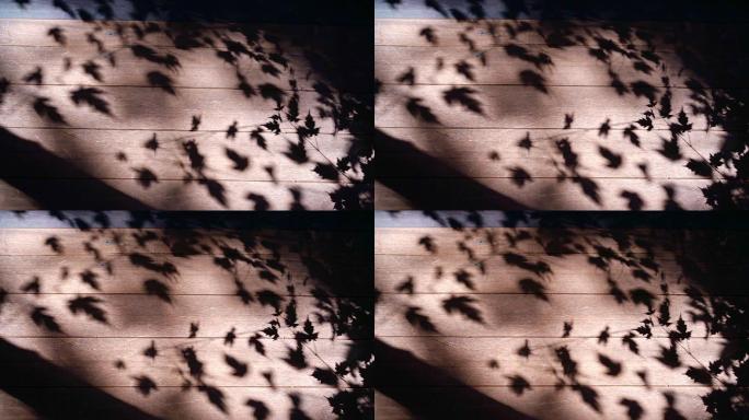 木板上的阳光与树叶的影子慢动作升格拍摄