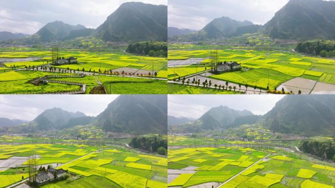 4K航拍汉中勉县阜川油菜花海