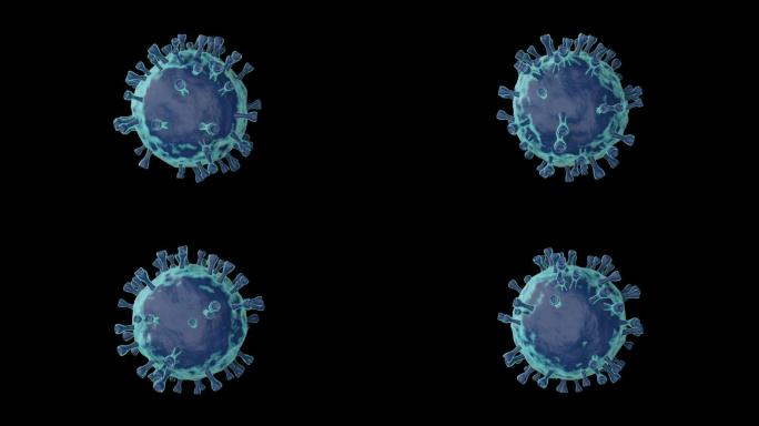 单个细胞病毒视频