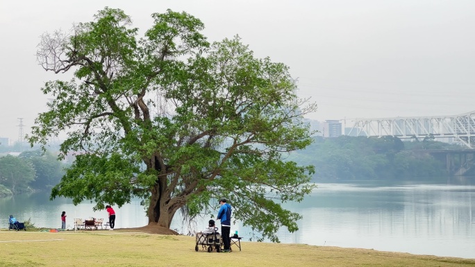 新冠疫情下市民在邕江滨江公园的休闲漫生活