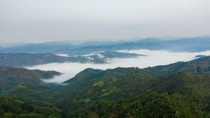 【4k】易武弯弓云海延时