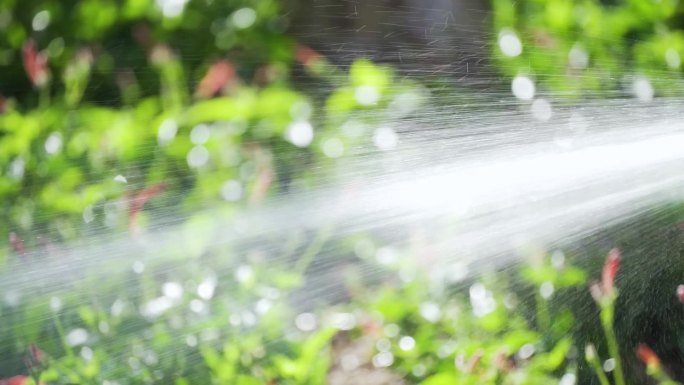 灌溉喷洒水慢镜头