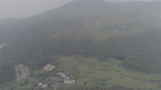 江门新会宣传片素材葵博园圭峰山森林公园