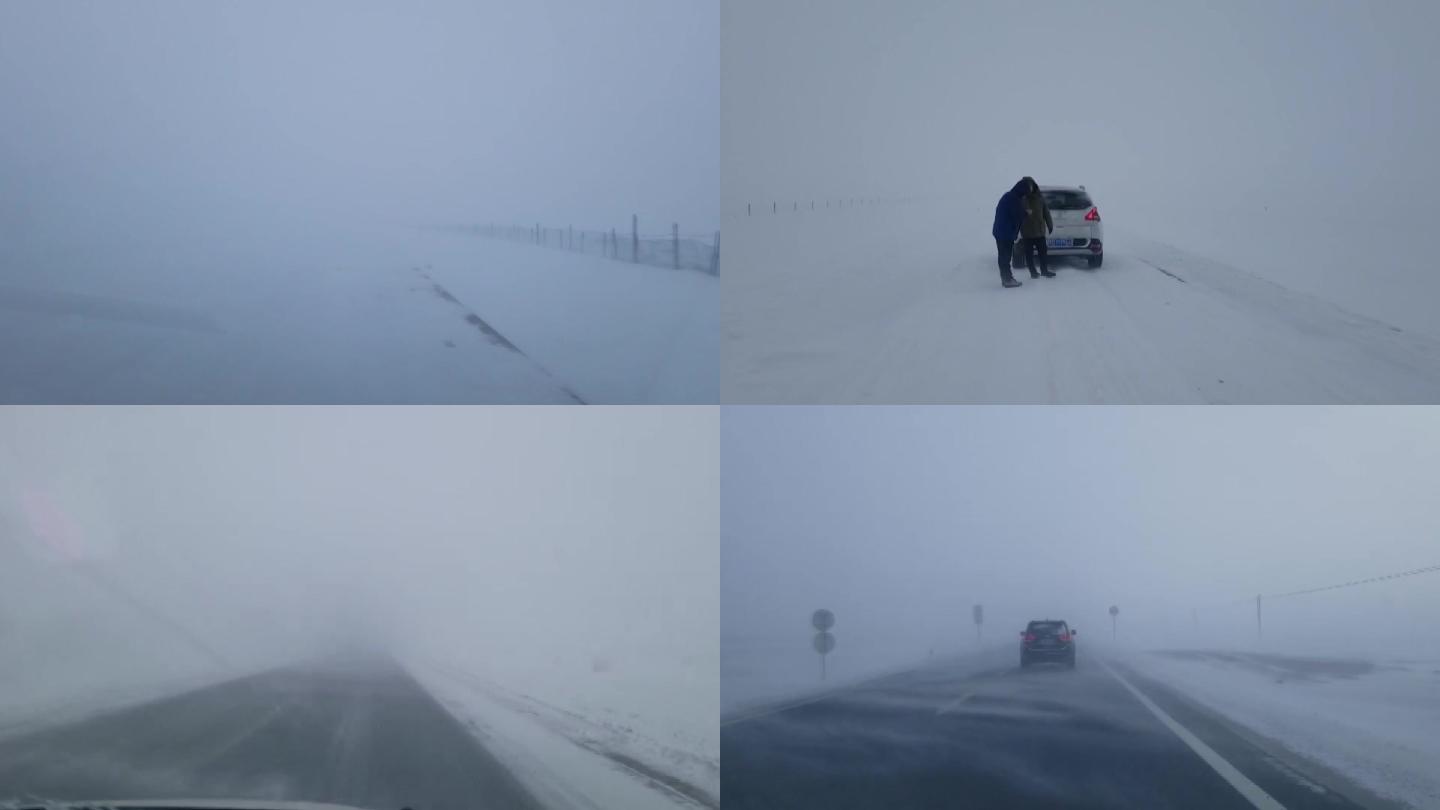 极端恶劣的大雪天车行驶在路上一片白朦朦