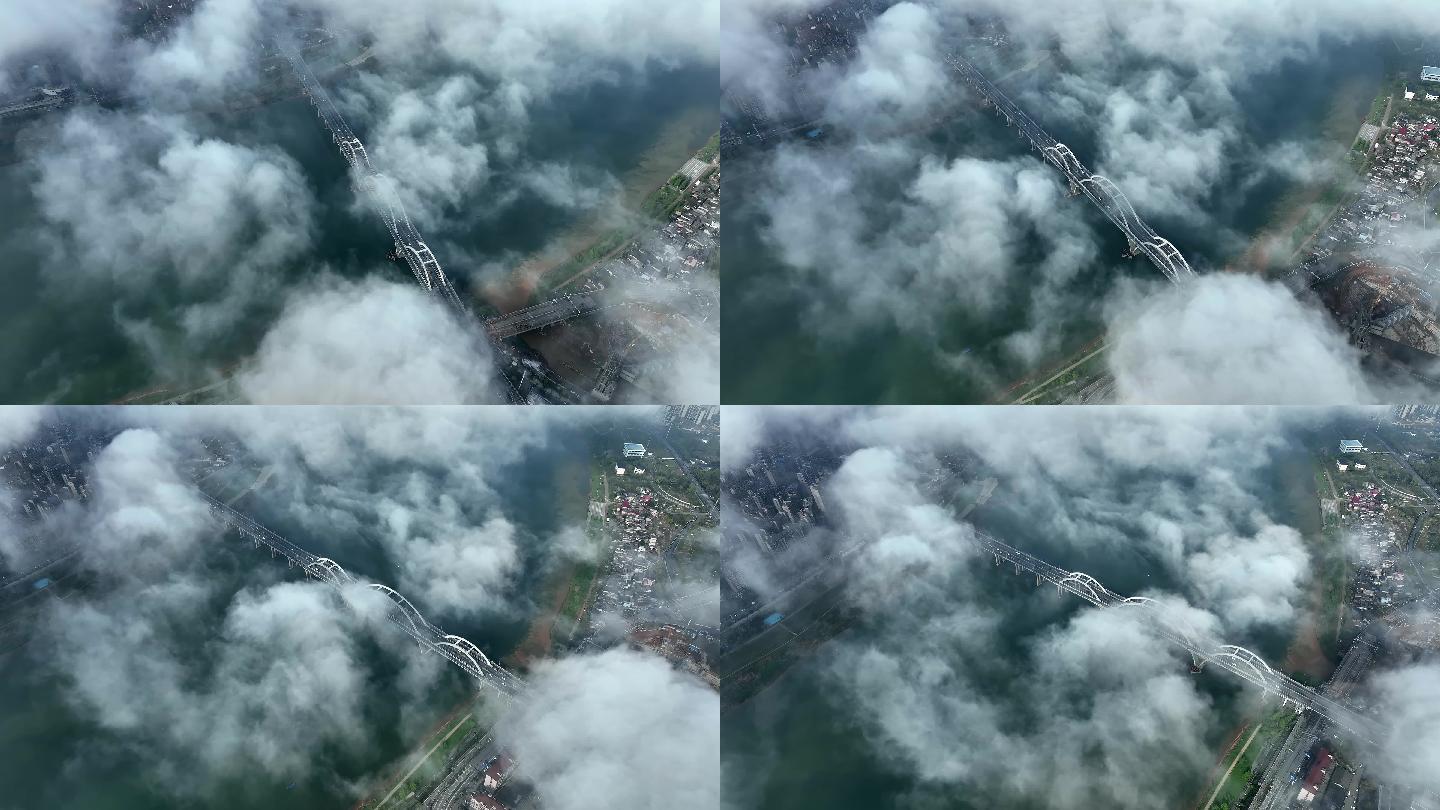 平流雾芦淞大桥