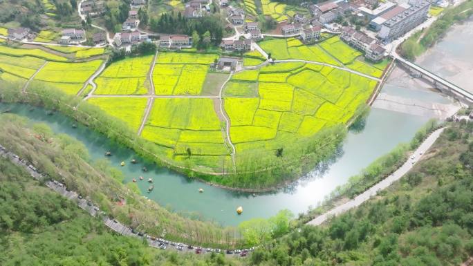 4K航拍汉中勉县龙湾油菜花海