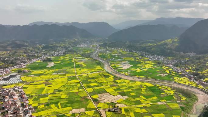 4K航拍汉中勉县阜川油菜花海