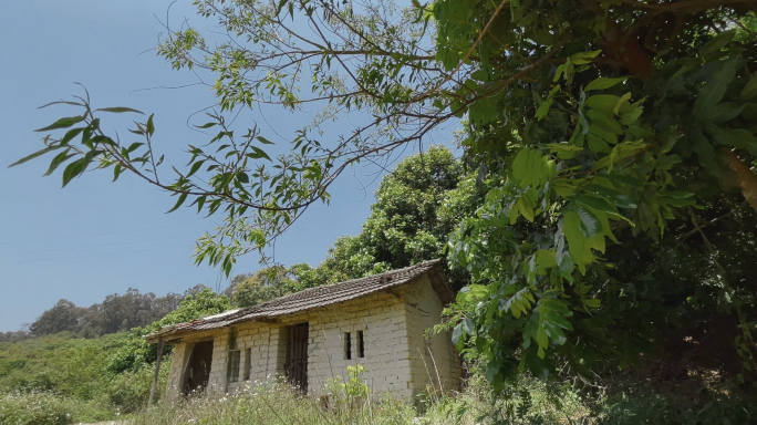 4k 山里人家 隐居 远离喧嚣 深山小屋