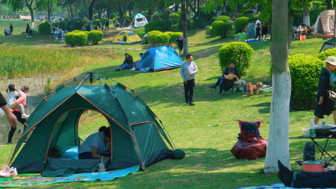 春天公园郊游露营搭帐篷放风筝 4K