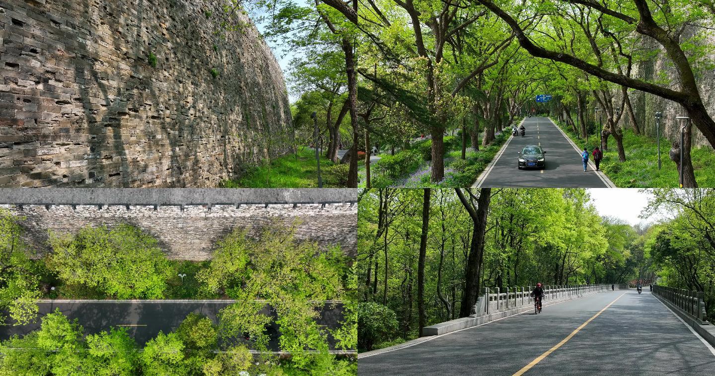 南京紫金山陵园路城墙航拍素材
