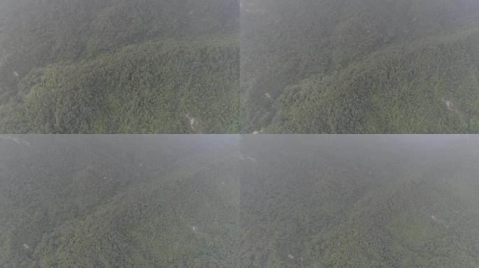 江门新会宣传片素材圭峰山国家森林公园航拍