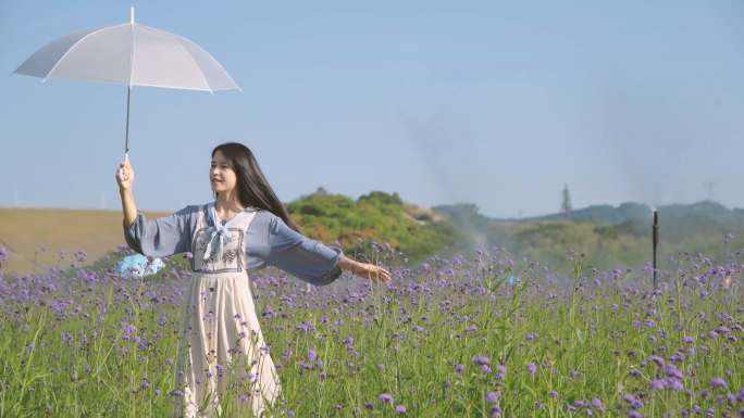 4K春天马鞭草花海中的少女