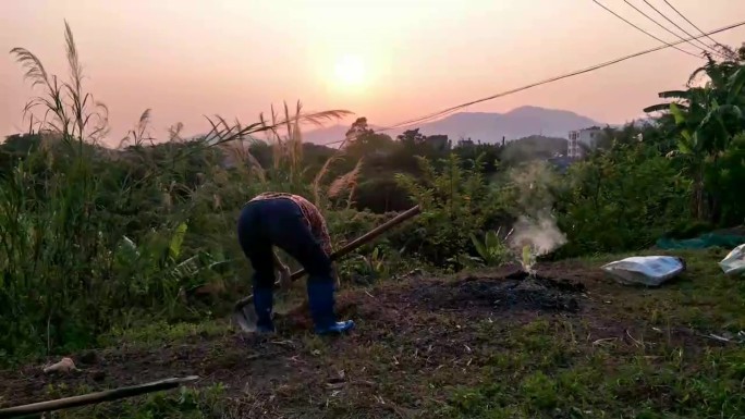 在夕阳西下落日晚霞的山坡上劳作的妇女