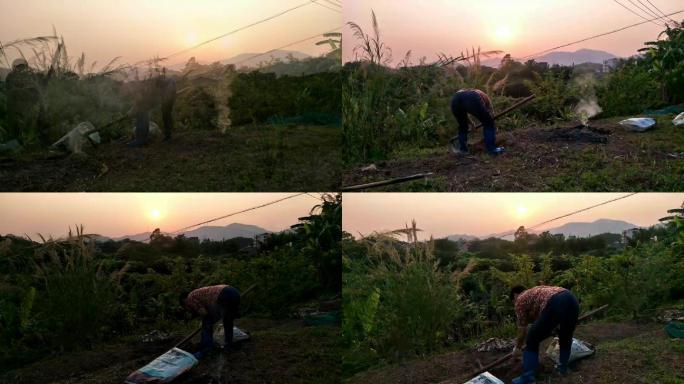 在夕阳西下落日晚霞的山坡上劳作的妇女