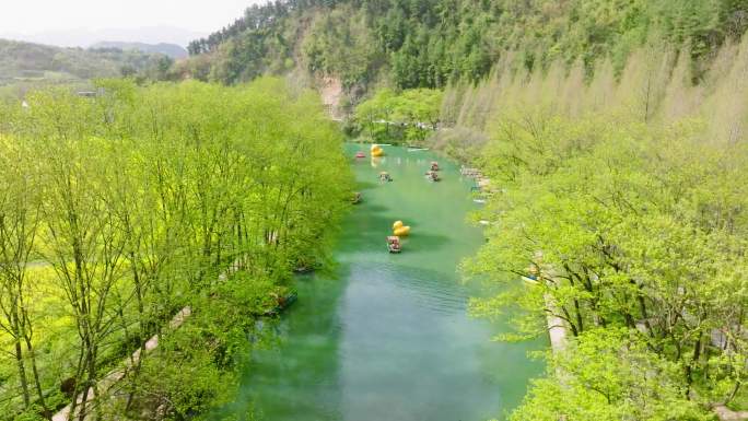 4K航拍汉中勉县龙湾油菜花海