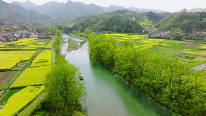 4K航拍汉中勉县龙湾油菜花海