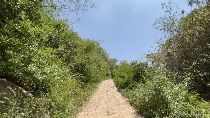 4k 山里小路 土路 泥路 非铺装路面