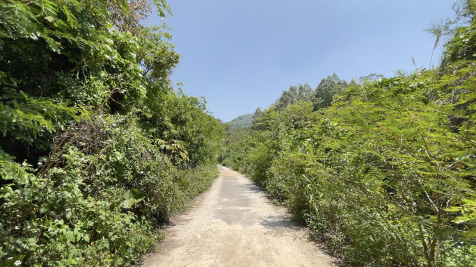 4k 山里小路 土路 泥路 非铺装路面